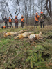 img-20250202-wa0011