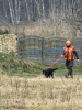 img-20250209-wa0011