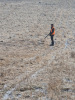 img-20250216-wa0015