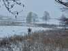 IMG-20231224-WA0000