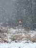 IMG-20240107-WA0004
