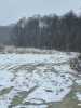 IMG-20240107-WA0005