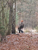 img-20241215-wa0005