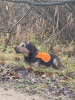 img-20241229-wa0010