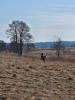 img-20250223-wa0007