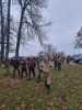 IMG-20231118-WA0013