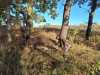IMG-20231028-WA0004